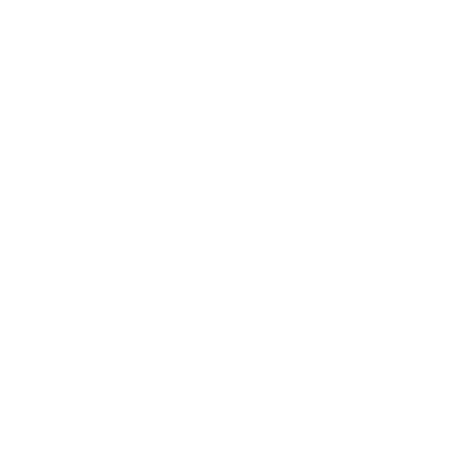 SMADE Next Gen Academy logo